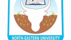 NORTH-EASTERN UNIVERSITY GOMBE SECURES FULL NUC ACCREDITATION FOR 12 NEW ACADEMIC PROGRAMMES