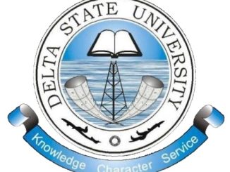 DELSU LOGO 326x245 1