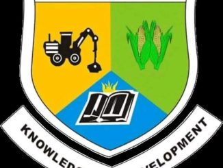 FB IMG 1771421742733