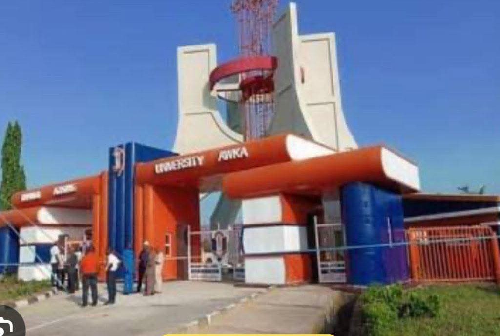 FB IMG 17742826239172