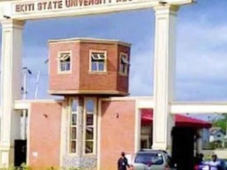 FB IMG 17750351173852